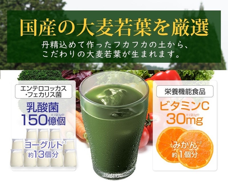 ★青汁 やわた昔ながらの本青汁1箱（3g×15袋）