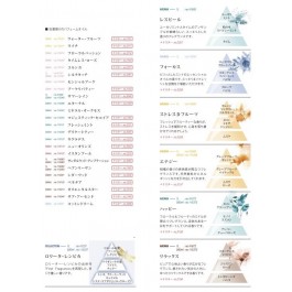 オイル種類一覧（オイルの説明、香りのピラミッド）について2026年※こちらは説明の為購入出来ません。
