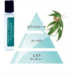 テスターサンプル6ml ・ユーカリ （スッキリ感の強いクリアで鋭い、透き通る香り）Eucalyptus