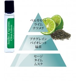 テスターサンプル6ml・シトラスリーブスCitrus leaves