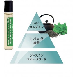 テスターサンプル 6ml ・フレッシュミント(モロッコミントティーを優しくしたミントの香り)menthe fraiche　※生産終了在庫限り