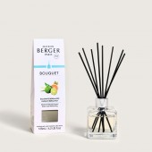 MB  アロマリードディフューザースティックキューブ125・ベルガモット ice Cube Scented Bouquets reeds Diffuser125  Radiant Bergamot 