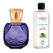 スプリングデイ A セット2026（ランプ1個、オイル1本選択）定価16,720円税込→13,200円税込 21％OFF