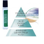 テスターサンプル6ml・オーシャンOcean Breeze （海をイメージしたスッキリ爽やかな人気のある香り）