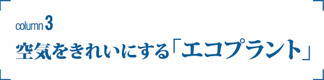 コラム3