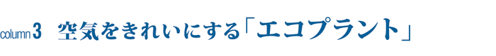 コラム2