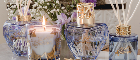 アロマオイル・ランプのDCHL JAPAN ｜ トップページ